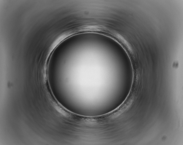 X0000099491370200805221328