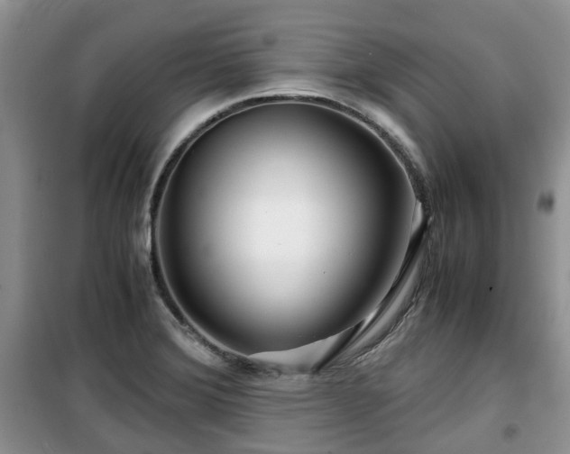X0000099491372200805221328