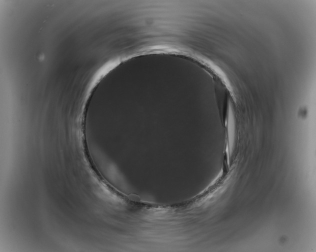 X0000099491373200805221328