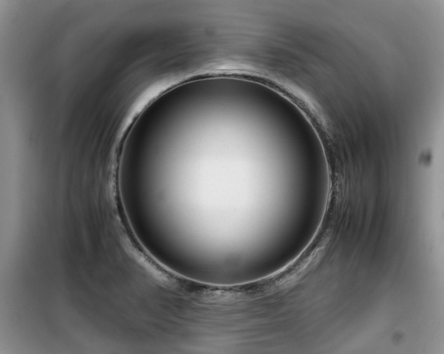 X0000099491374200805221328
