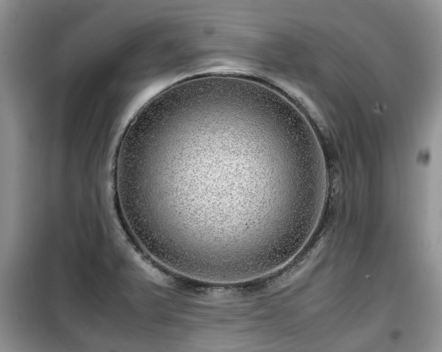 X0000099491375200805221328
