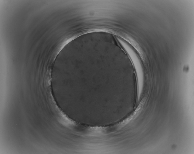 X0000099491377200805221328