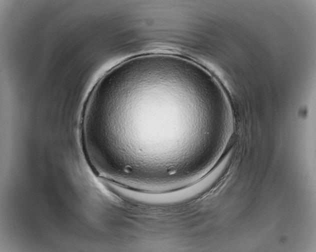 X0000099491379200805221328