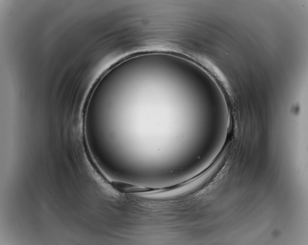 X0000099491380200805221328