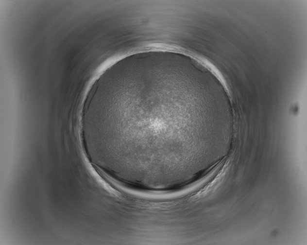 X0000099491381200805221328
