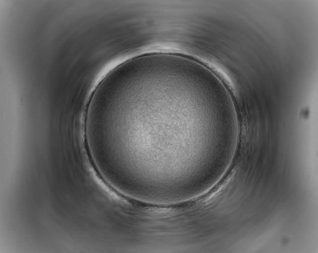 X0000099491382200805221328