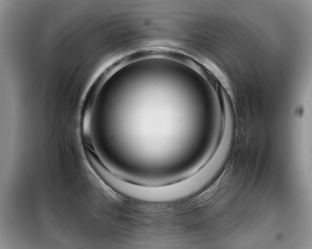 X0000099491384200805221328