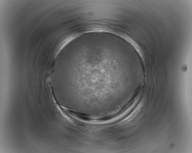 X0000099491385200805221328