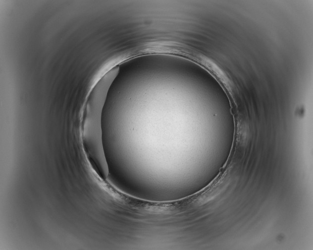 X0000099491386200805221328