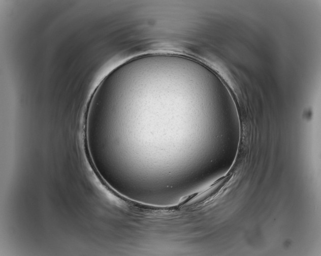 X0000099491387200805221328