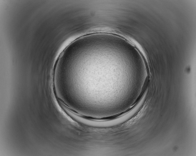 X0000099491389200805221327