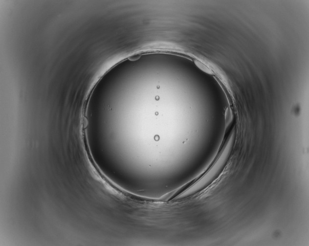 X0000099491390200805221327