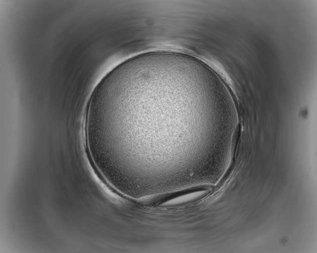 X0000099491391200805221327