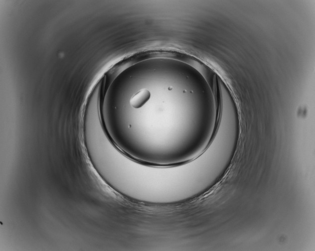 X0000099491392200805221327