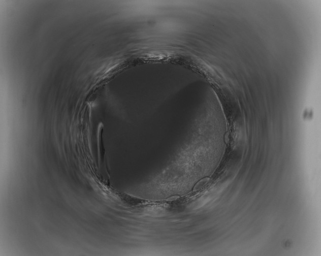 X0000099491394200805221327