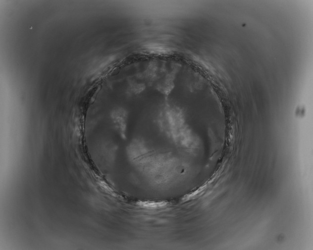 X0000099491397200805221327