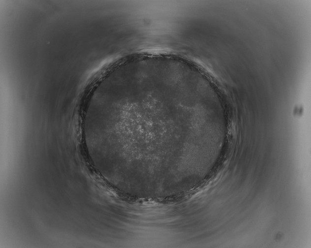 X0000099491398200805221327