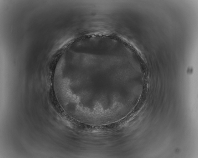 X0000099491399200805221327