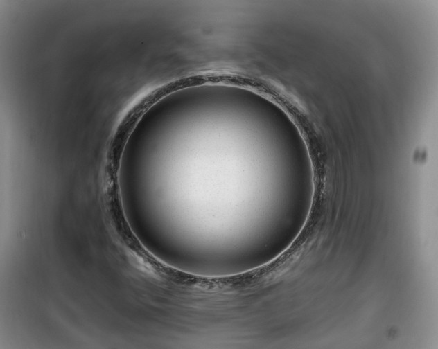 X0000099491400200805221327