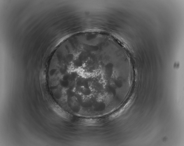 X0000099491401200805221327