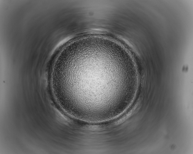 X0000099491402200805221327