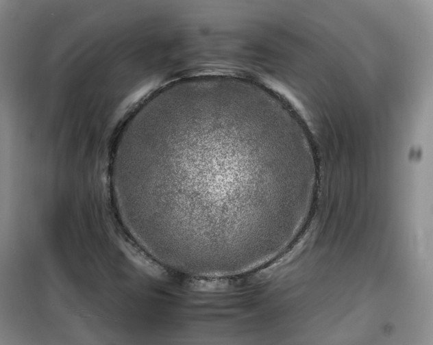 X0000099491403200805221327