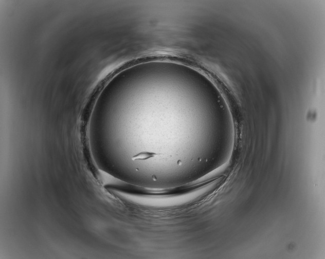 X0000099491404200805221327