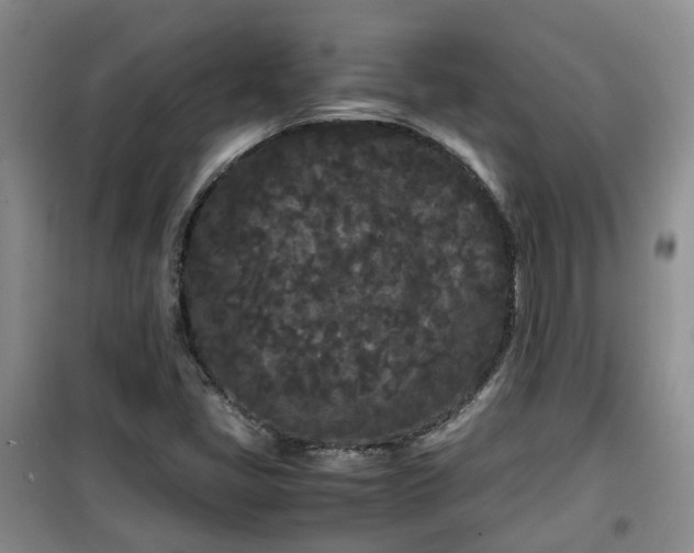 X0000099491405200805221327
