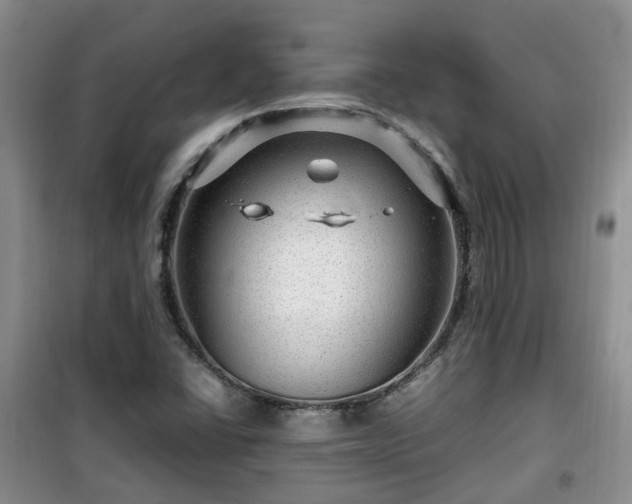 X0000099491406200805221327