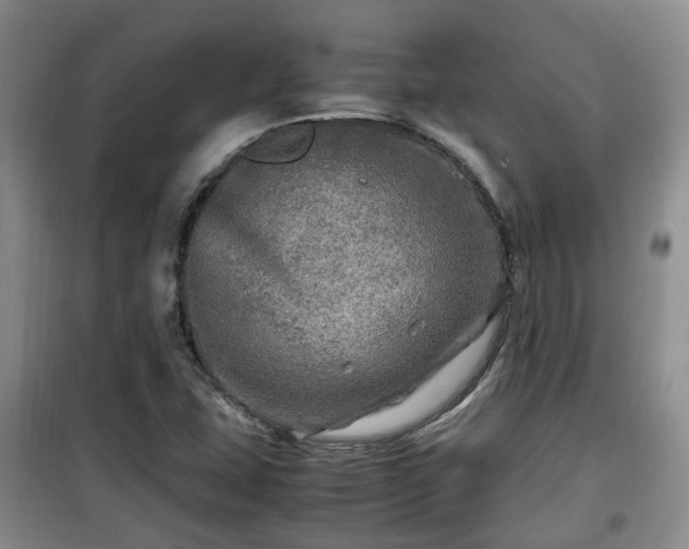 X0000099491407200805221327