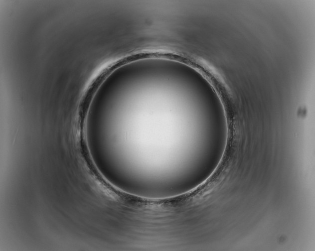 X0000099491408200805221327