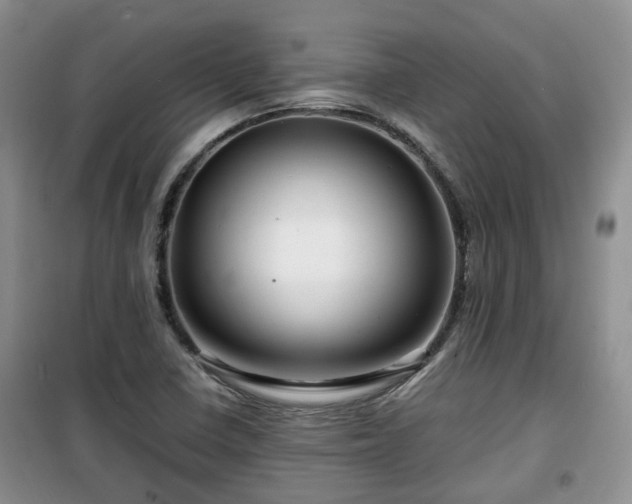 X0000099491410200805221327