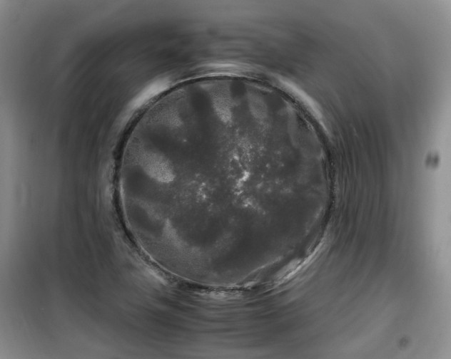 X0000099491411200805221327