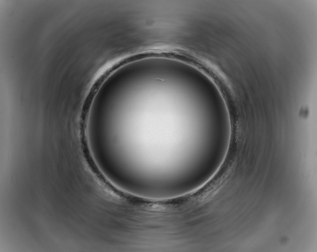 X0000099491412200805221327