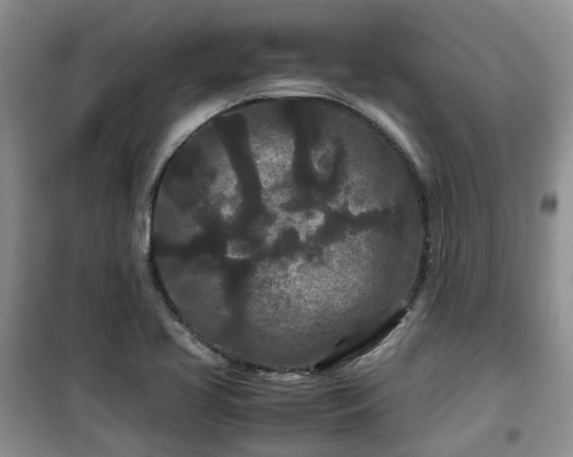 X0000099491413200805221327