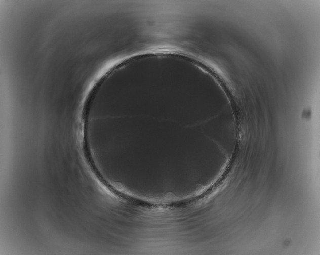 X0000099491414200805221327