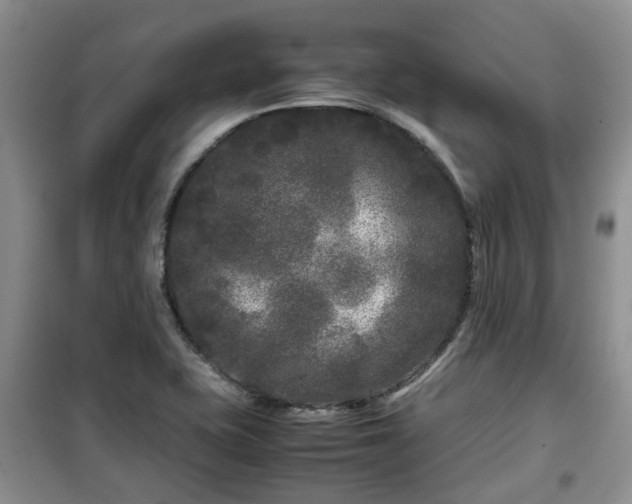X0000099491415200805221327