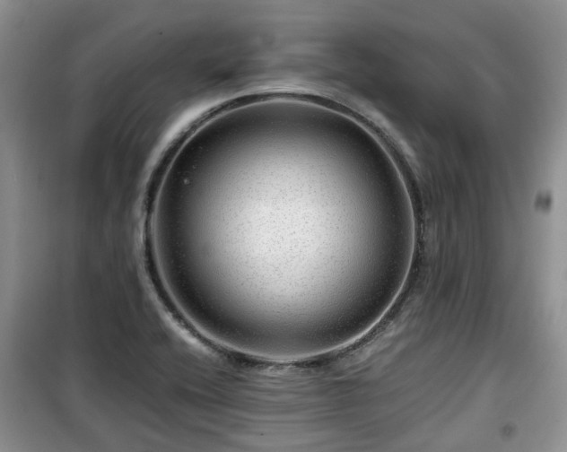 X0000099491416200805221327
