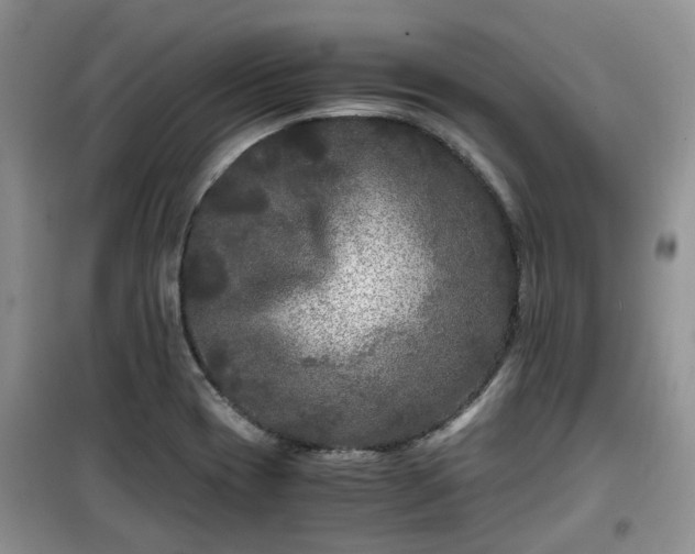 X0000099491417200805221327