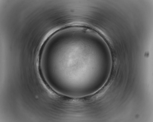 X0000099491418200805221327