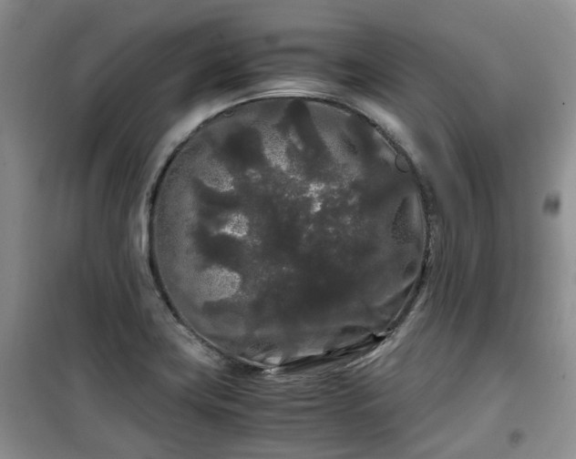 X0000099491419200805221327