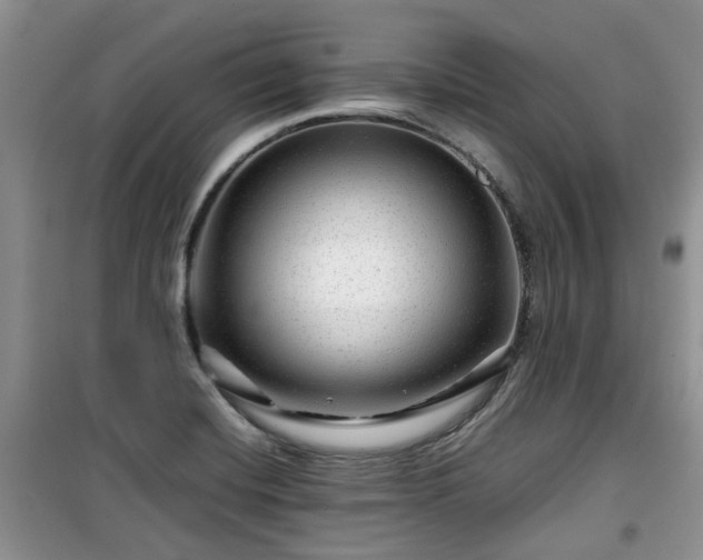 X0000099491420200805221327