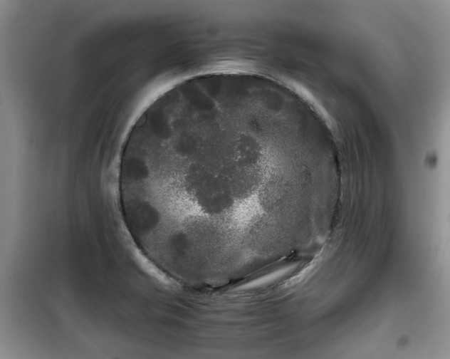 X0000099491421200805221327