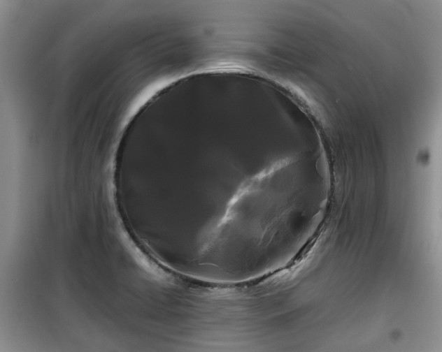 X0000099491422200805221327