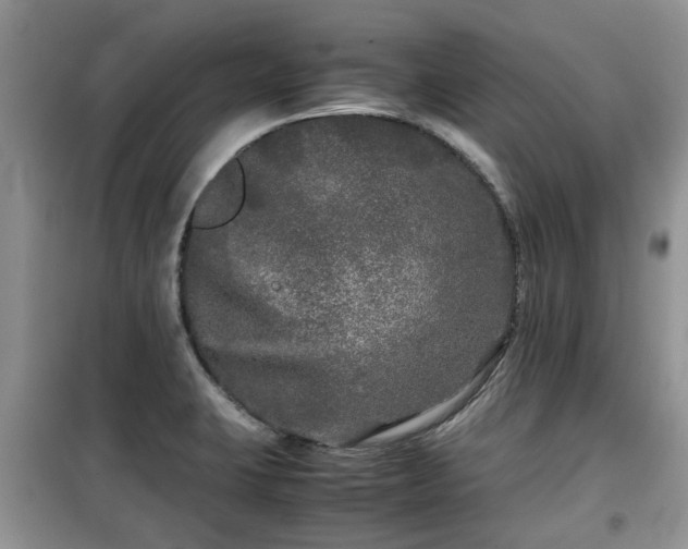 X0000099491423200805221327