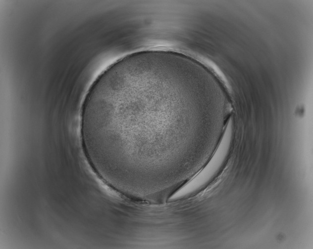 X0000099491424200805221327