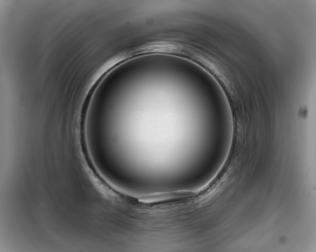 X0000099491426200805221327