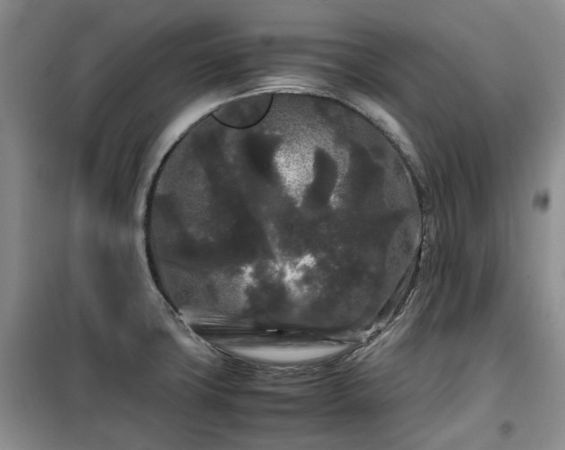 X0000099491427200805221327