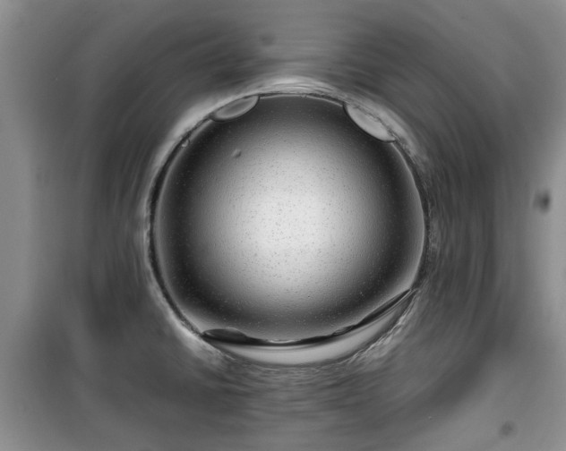 X0000099491430200805221327
