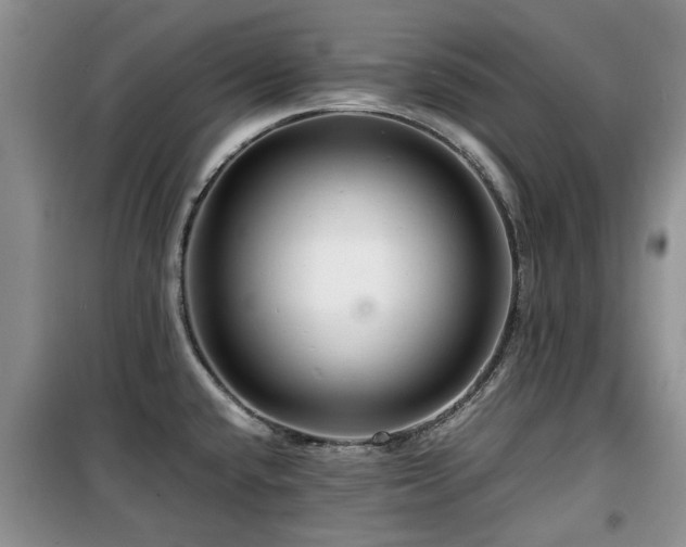 X0000099491432200805221327